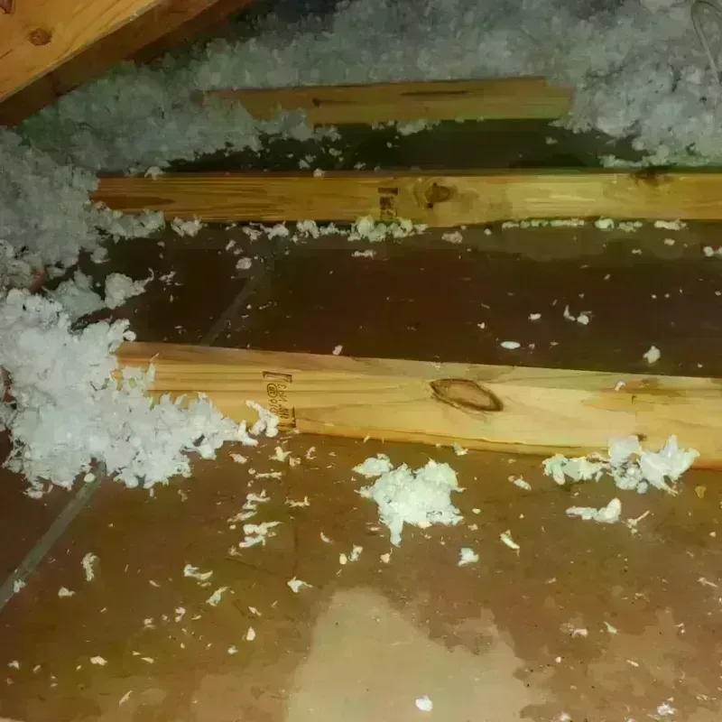 Attic Water Damage in Clear Lake, WI