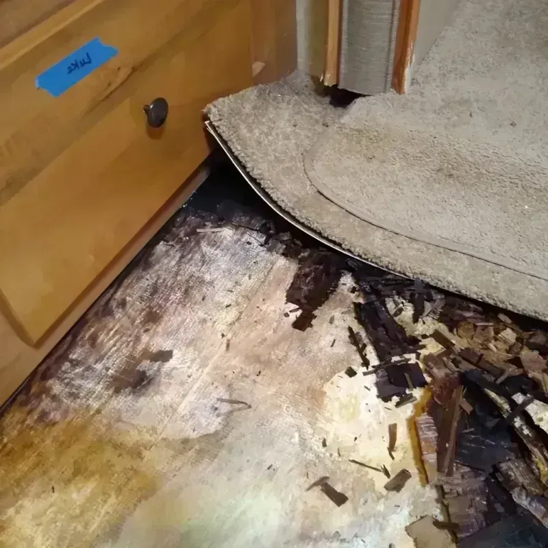 Wood Floor Water Damage in Clear Lake, WI